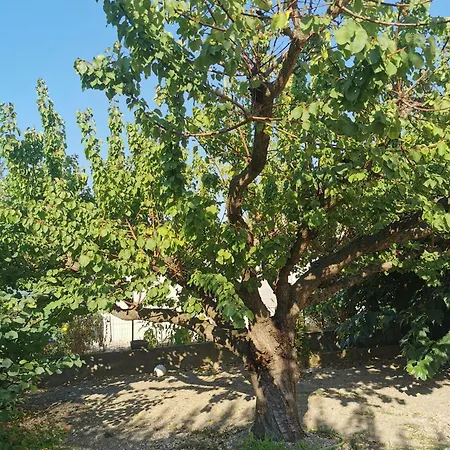 Villa Dans Le Sud Lunel  Exterior photo